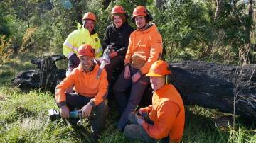 (BACK LEFT) Chris Hoskins from the Bega Local Aboriginal Land Council, arborists Zac Luimes, and Tyler Bolitho. (FRONT LEFT) Christjan Peters from Dynamic Tree Services, and arborist Ramon Hatcher. Photo taken at the Bega LALC's property in Bemboka. Photo: Ellouise Bailey