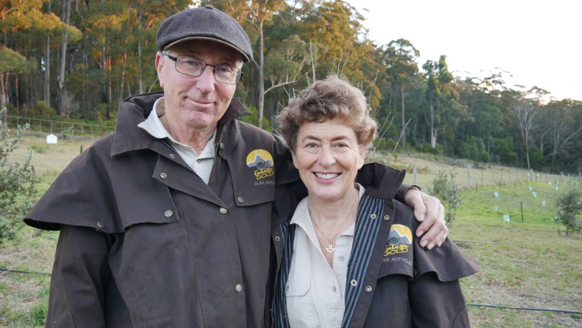 Alan Burdon and Fiona Kotvojs run truffiere Gulaga Gold in the Bega Valley Shire. Their business is the only of its kind in the Valley. Photos: Ellouise Bailey