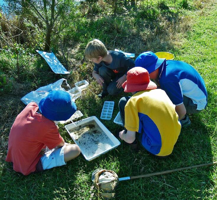 SEARCHING STUDENTS: Students from Pambula school look for waterbugs at the Panboola Bioblitz. Photo: Atlas of Life. 