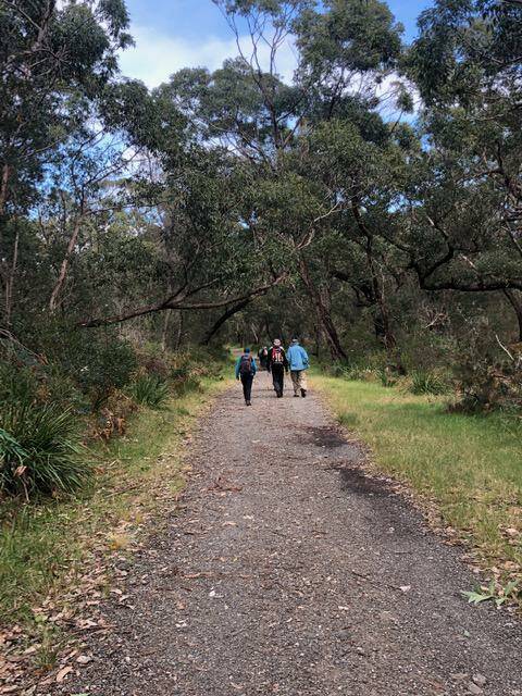 The Bengello Beach track is easy to find and flat most of the way. Photo: Batemans Bay Bushwalkers. 