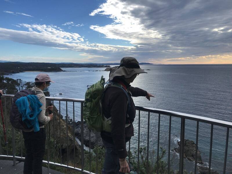 NATURE COAST: The Guerilla Bay walk features a viewing platform where you can try spot a fur seal basking on the rocks, or perhaps spot a whale in migrating season. Photo: Batemans Bay Bushwalkers. 