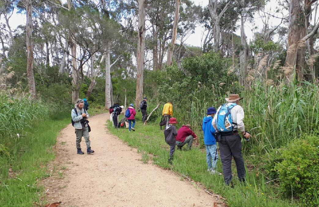 WINGS OF SPRING: Atlas naturalists searching for insects at Eden. Photo: Atlas of Life.
