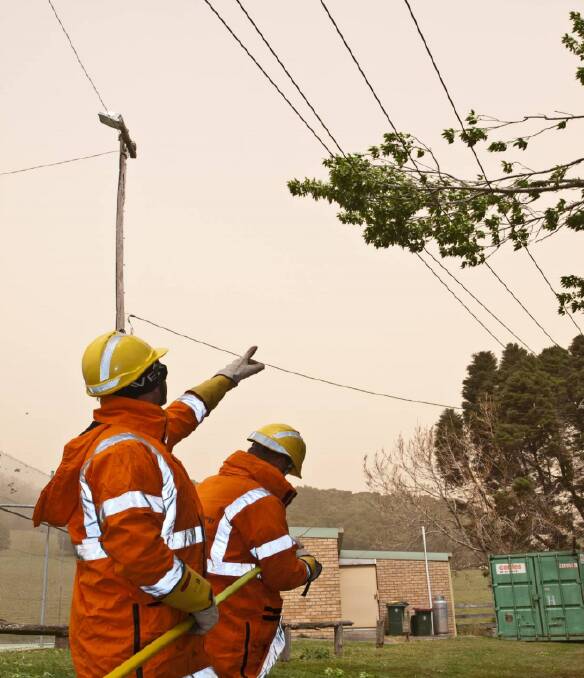 Workers look at a tree impacting power lines.