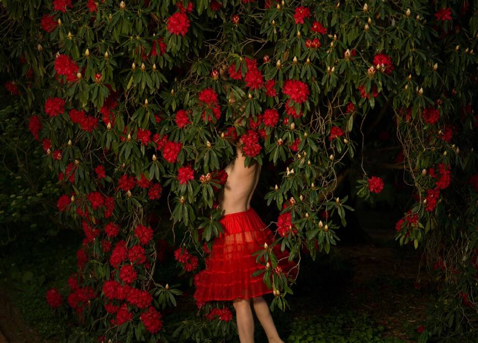 Night Garden by Tamara Dean. Night Garden by Tamara Dean.