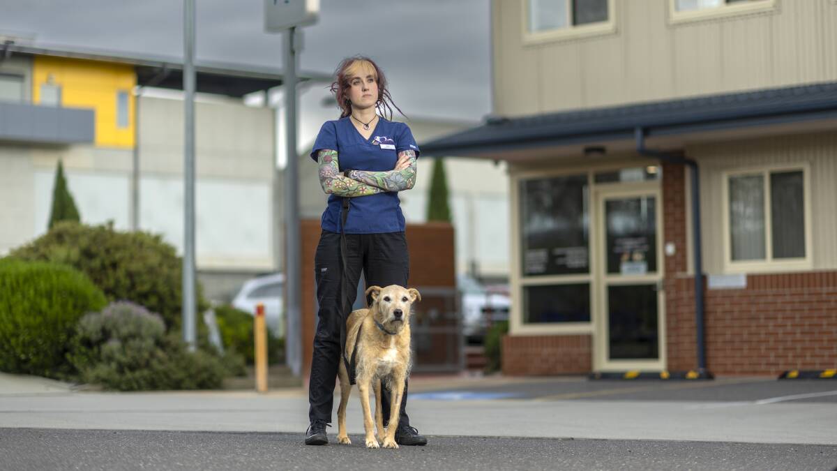 Canberra Vet emergency clinic staff are asking for compassion from clients after incidents of abuse. Client Care Manager, Leisa Matvieieva and Oscar. Picture by Gary Ramage