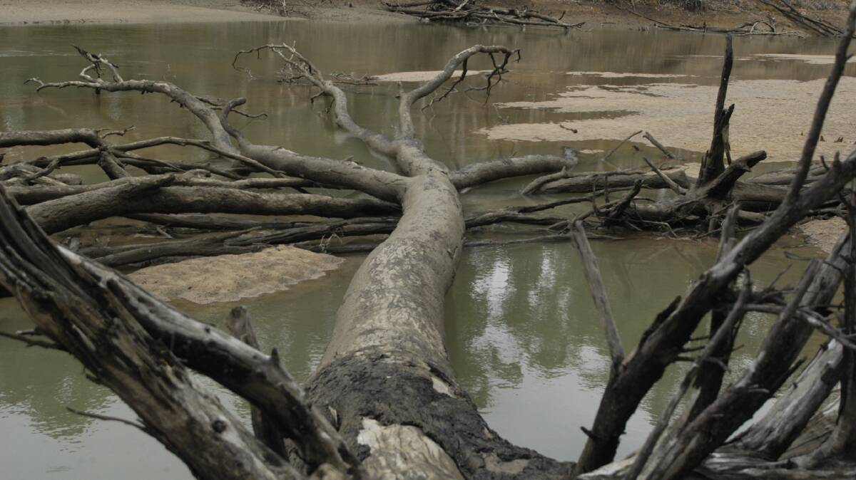 Plans to protect the Murray-Darling Basin have not lived up to their potential. File picture