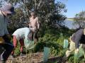 Caring for Wallaga Lake Heights was awarded a Community Environment Grant from Bega Valley Shire Council