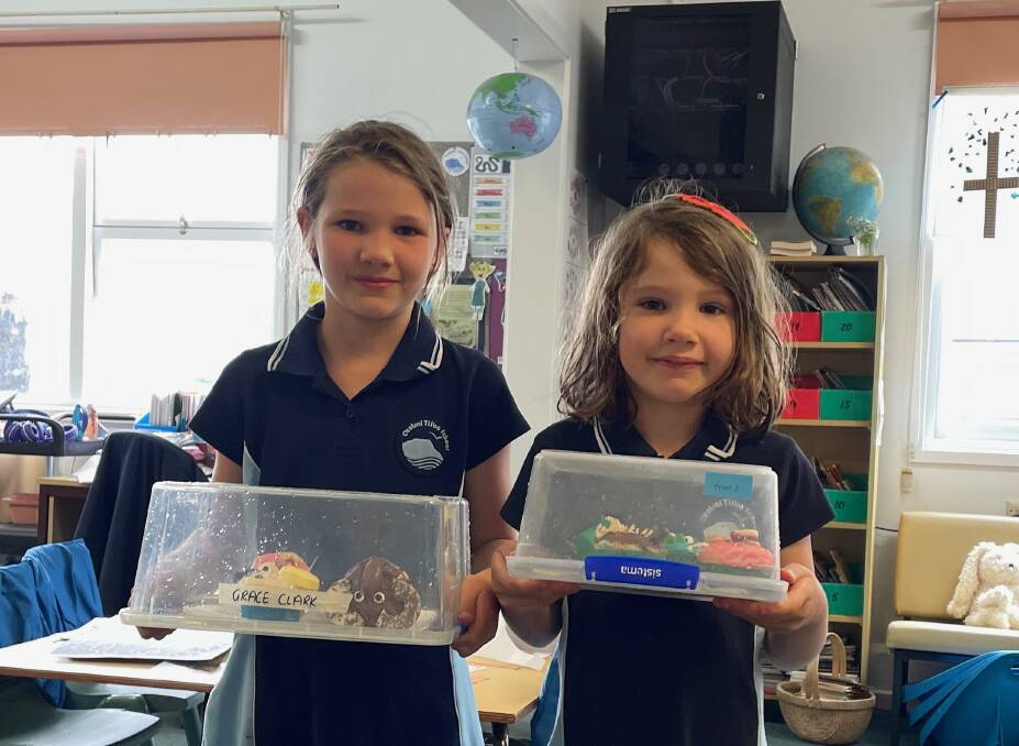 Grace and Pippy's decorated cupcakes will see them go on to the Far South Coast Group competition in Bermagui on March 14. Picture by Marion Williams