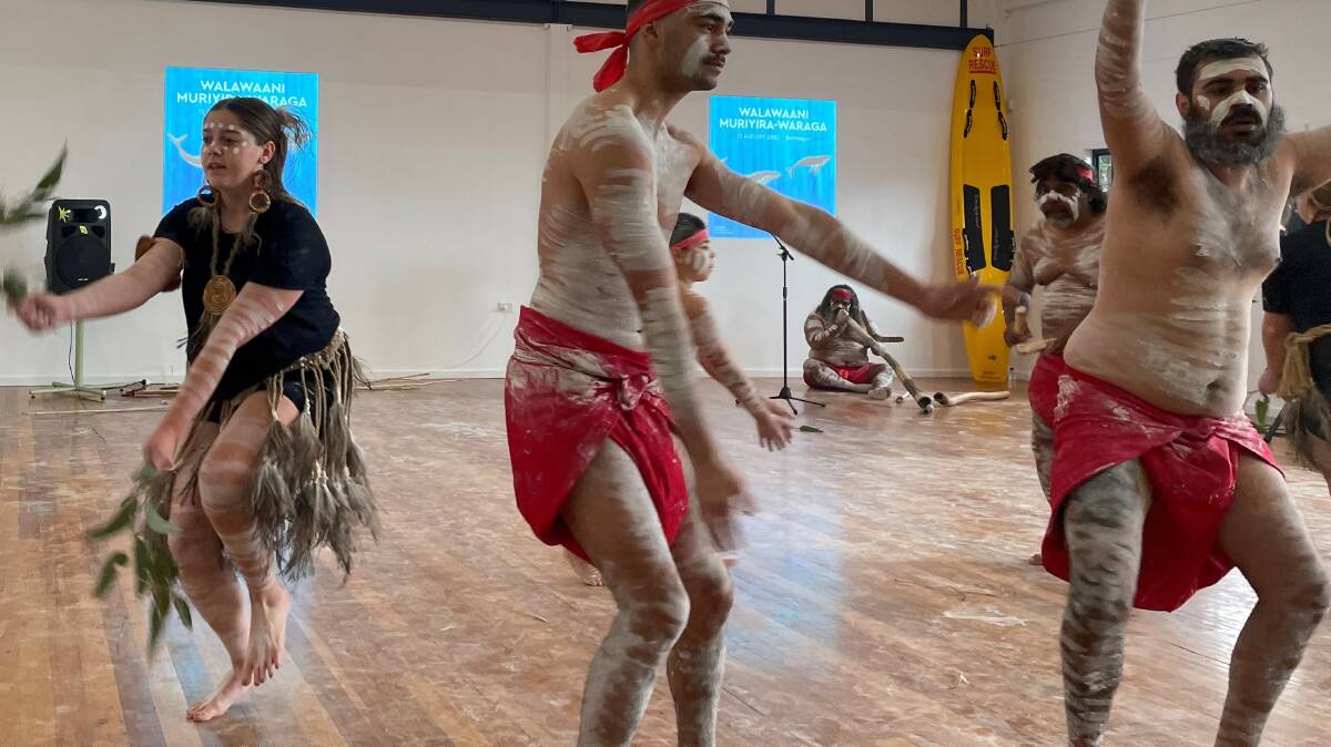 Dancers from Gumaraa Aboriginal Experience at the opening ceremony to launch the Sapphire Coast whale-watching season