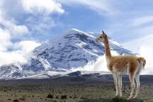 Which South American paradise should you visit next: Ecuador or Chile?