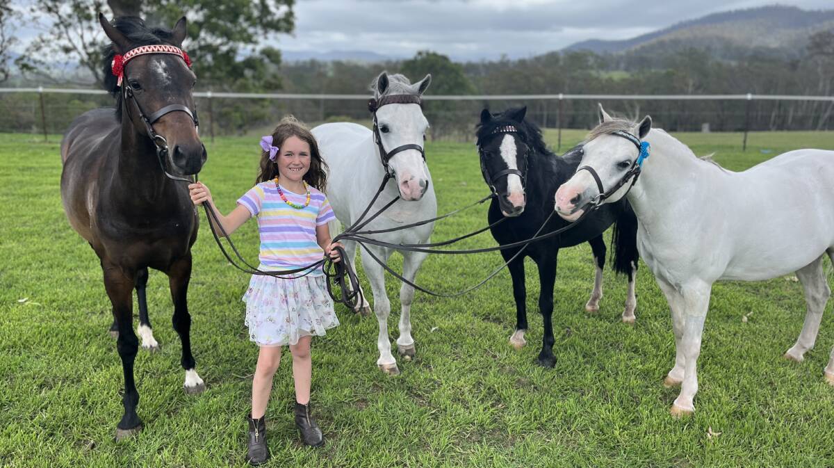 Horses and ponies: Cardi, Obie, Bubbles and Kalvin with Hallie. Picture by James Parker 