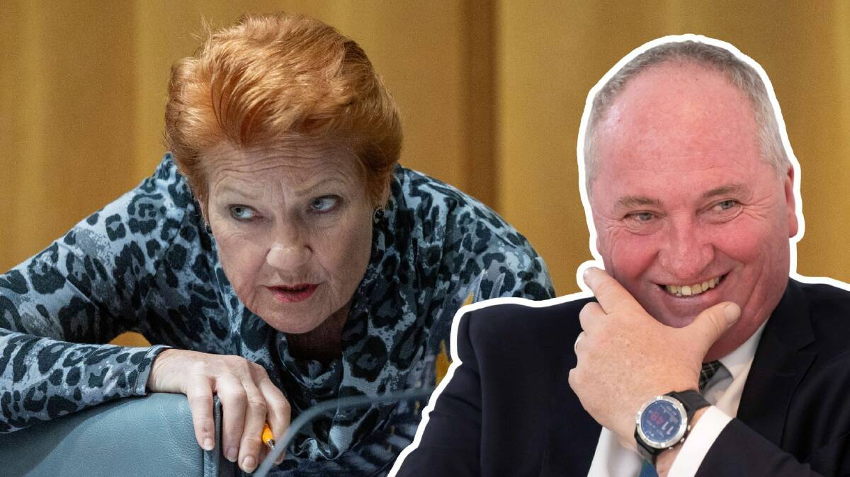 What's for dinner? One Nation Leader Pauline Hanson is wooing Nationals MP Barnaby Joyce. Pictures by Peter Hardin, Gary Ramage