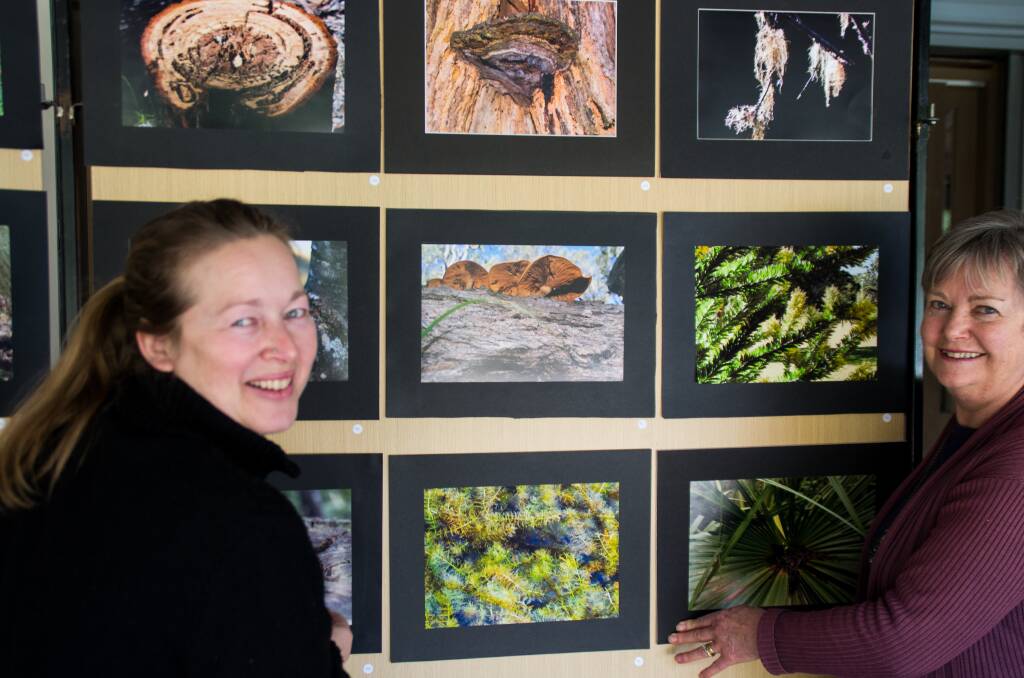 Beth Westra and Jill  Armstrong set up the ‘Textures and Patterns in Nature’ category in the Eurobodalla Regional Botanic Gardens photo exhibition.