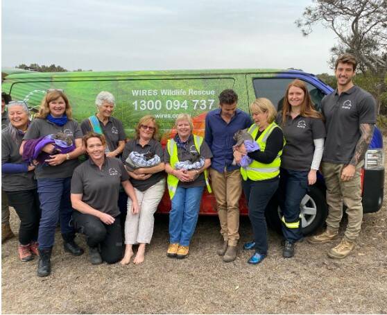 WIRED FOR VICTORY: WIRES Mid-South Coast volunteers are in the running for a NSW volunteering award to be announced on Thursday.