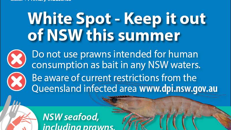 ON THE SPOT: Authorities urged summer anglers against the spread of white spot disease, but readers are concerned imported prawns remain on sale.