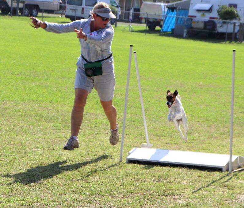 LEAPING FOR JOY: Nina Balas and Imogen have fun in the air at the AWL agility session. Picture: Rosy Williams.