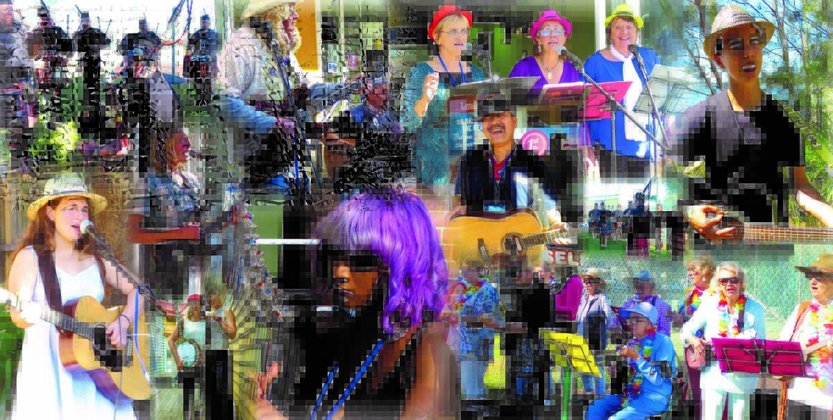 BUSTING TO BUSK: Some of the buskers who will be appearing at this year's Narooma Busking Champioships. Collage: Rachel McInnes.