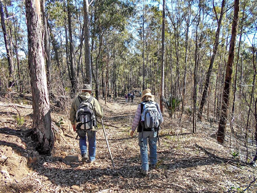 NEW RULES: John and Narelle Spees and other walkers heading down to the creek, abiding by the COVID-19 protocols.
