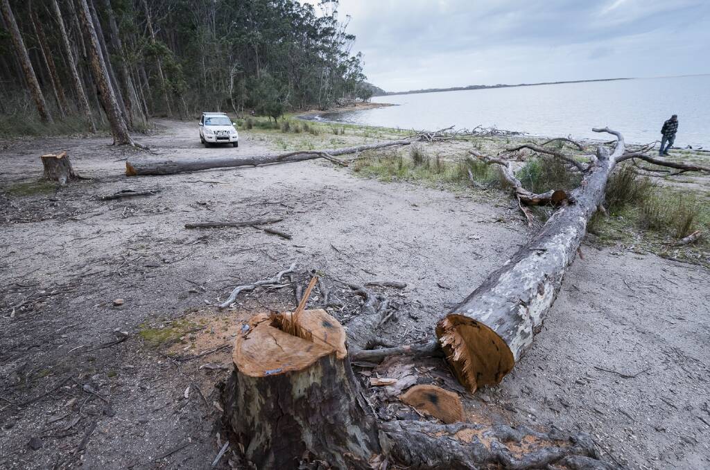 BROU CONCERN: Coastwatchers are concerned about trees felled at Brou Lake.