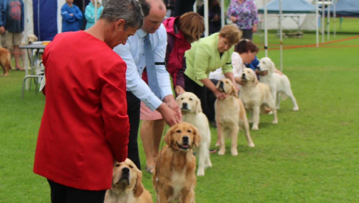 Annual dog show, obedience trials at Bermagui | Narooma News
