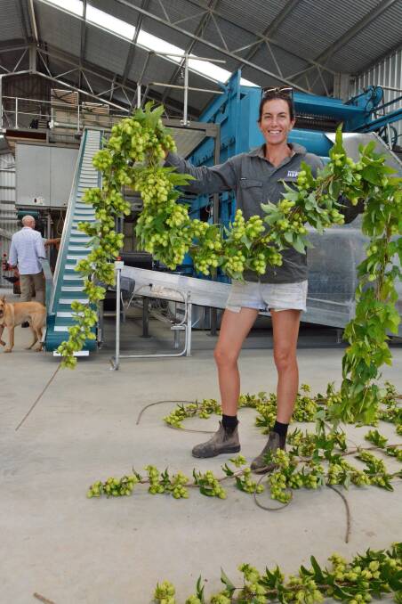 Karen Taylor shows off one of Ryefield's bines ready for their new harvester. Photo: Ben Smyth