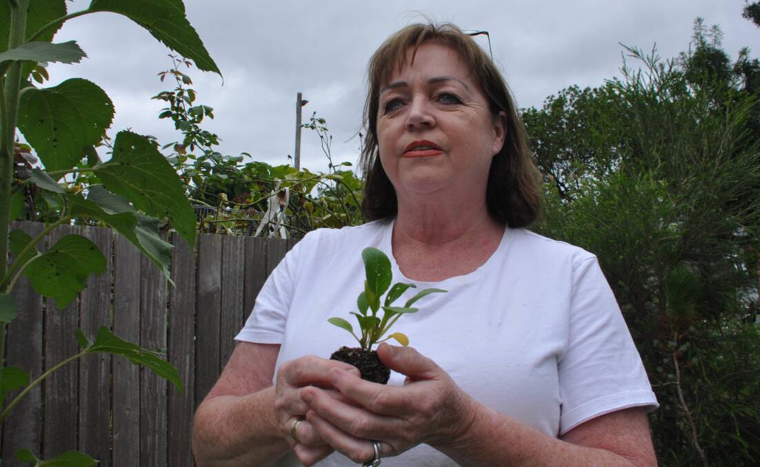 A year on, avid gardener Lorna Calder has finally been able to spend time in her own garden after the devastation of the bushfires.