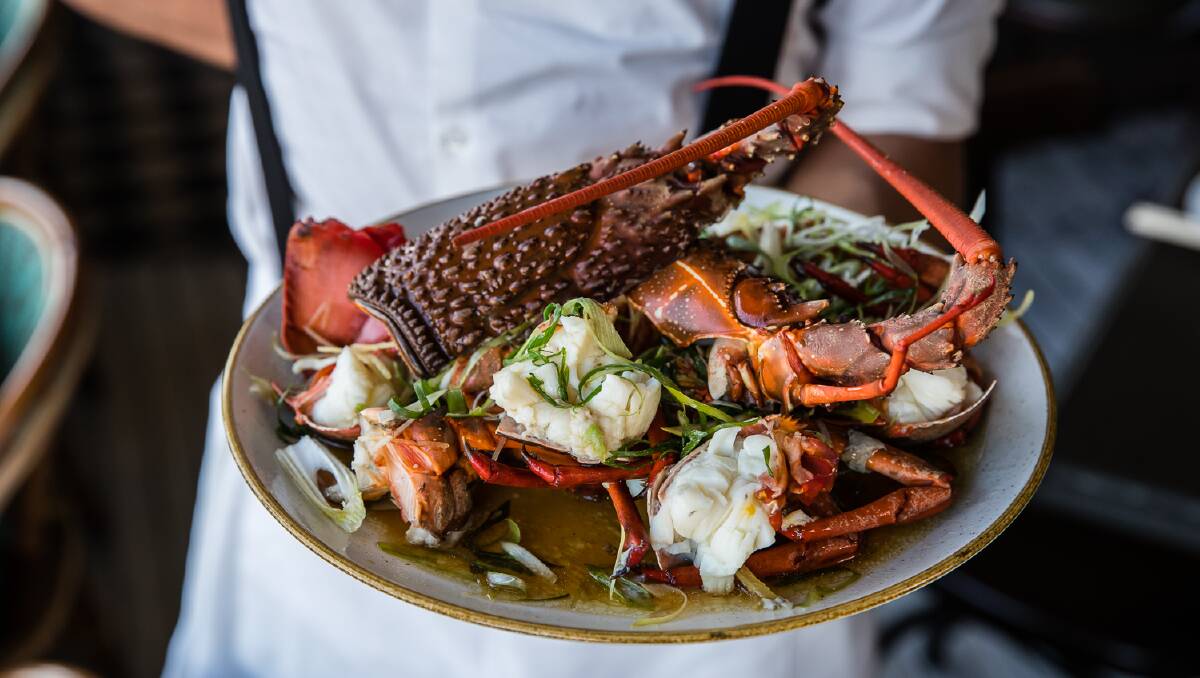 Locally-caught seafood will be in the spotlight at Queen Chow Narooma. Image: Merivale. 