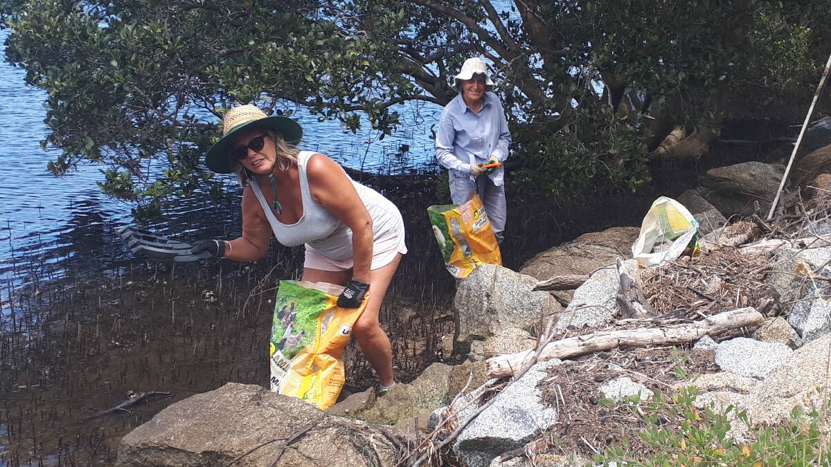 Top job: Jane Enright and Lyn Bain clear Moruya River mangroves of litter.