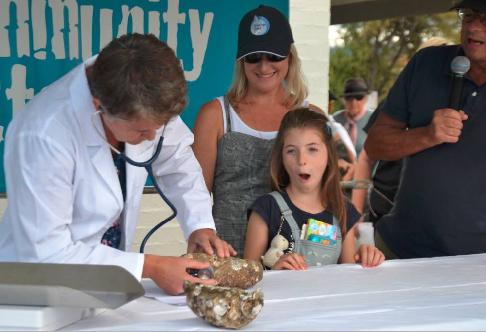 QUICK HEALTH CHECK: Massive Pacific oysters weighing in at the Narooma Oyster Festival 2019. 