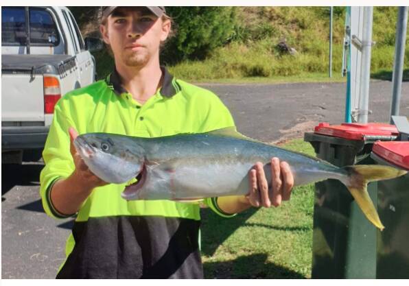 Nick Myhill pictured with a kingfish. The 18-year-old has woken from a coma after a freak accident involving a whale when fishing. Image: Supplied.