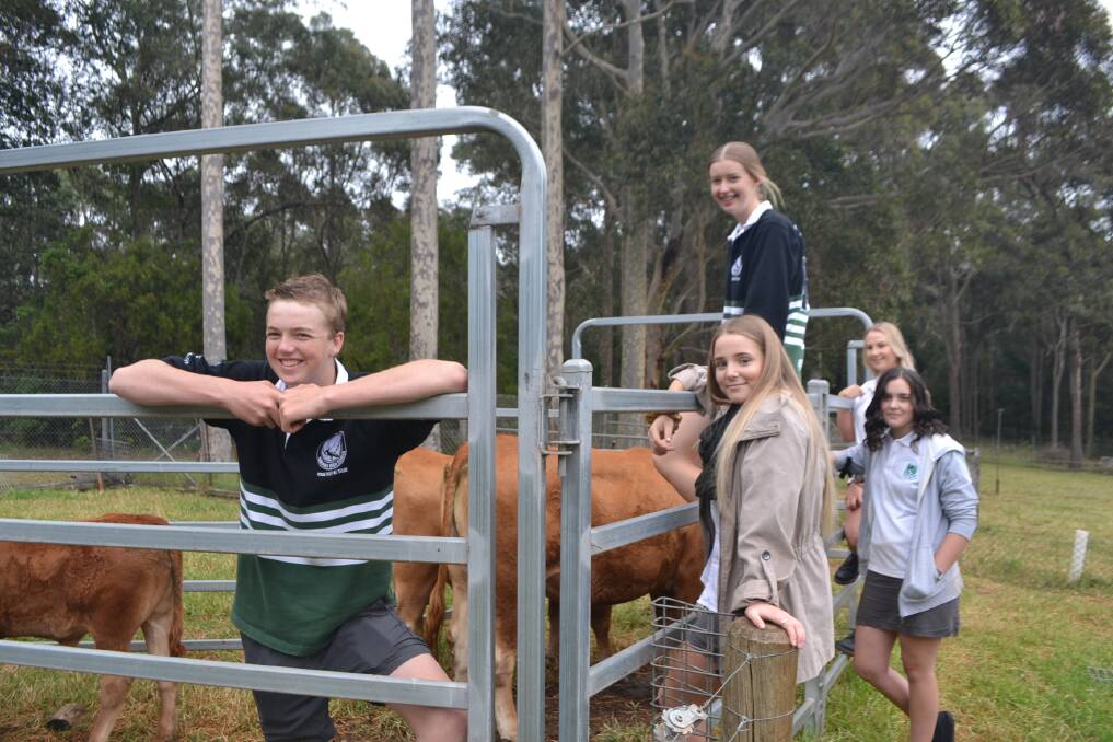 Round em up: Year 12 agriculture students ready for the Canberra Royal Show on Tuesday, February 19. 