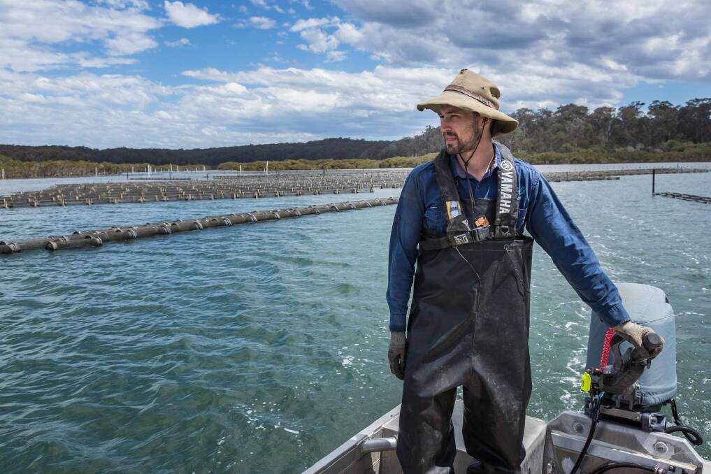 BACK IN BUSINESS: Tathra Oysters farm manager Sam Rodely.