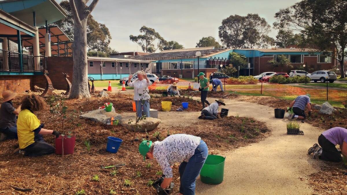 Eurobodalla shire Landcarers spent a morning getting plants in the grounds of the new Moruya Library and exhibition centre water-wise and wildlife-friendly garden this week.