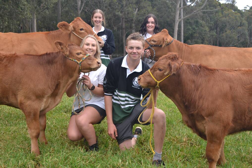Keen contenders: Year 12 students Yolande Thompson (back left), Sammy Bate, Georgie Brown (front left) and Scott Negus. Picture: Claudia Ferguson