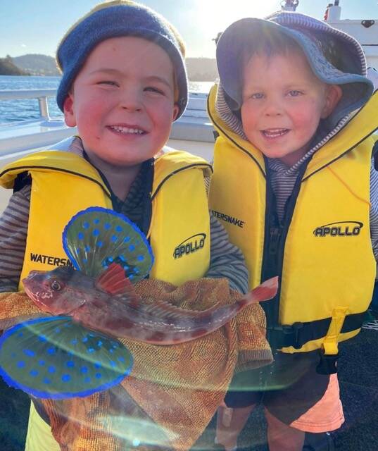 Caught and released: Narooma Sport and Gamefishing Club junior members Toby (holding the fish) and Otis George with a beautiful Flying Gurnard caught recently in Wagonga Inlet.