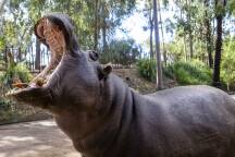 From retro hotels to outback bashes: your bucket list guide to Western NSW