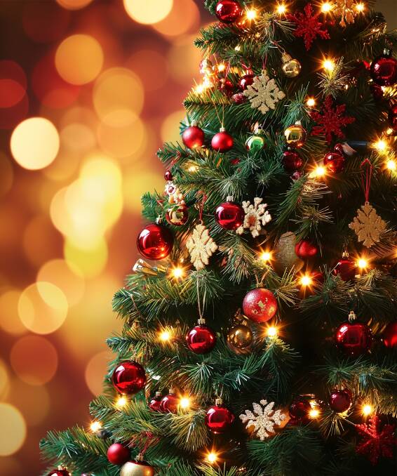 A Christmas tree. Picture by Shutterstock A Christmas tree. Picture by Shutterstock