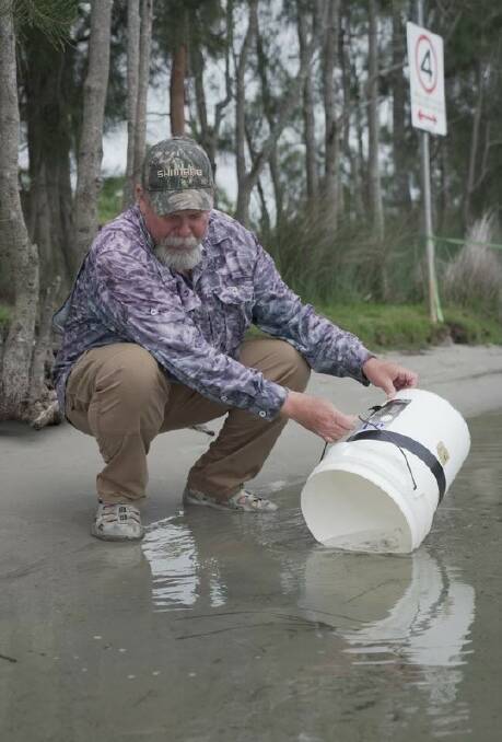 FREE: Legendary South Coast fisho Steve "Starlo" Starling releases some of the 15,000 flathead fry into Lake Conjola.