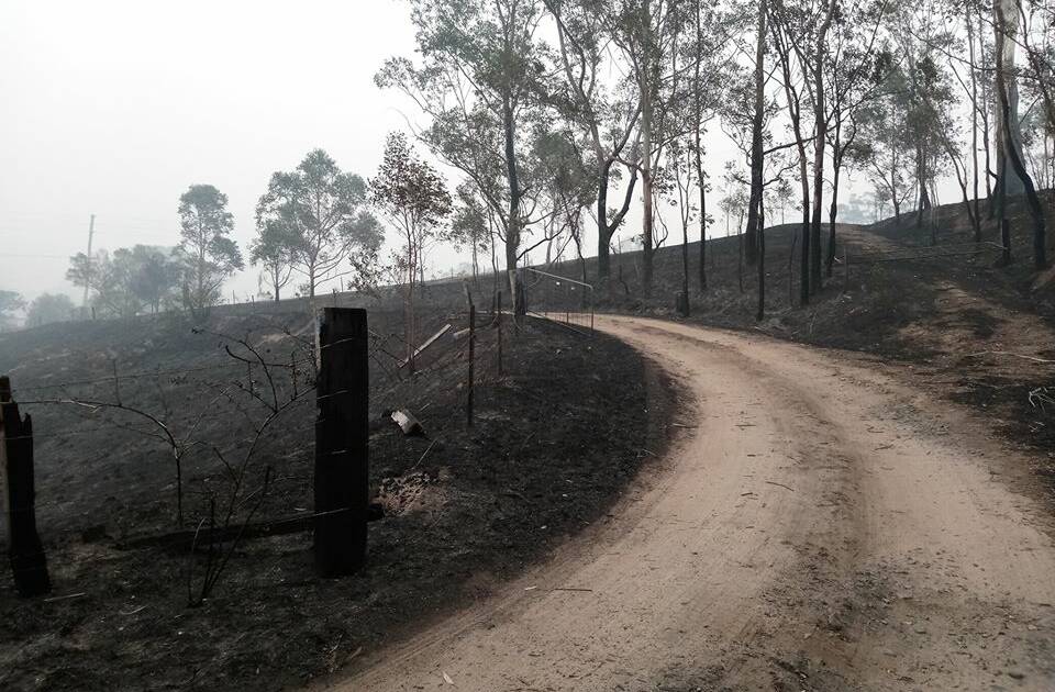 Shannon Davis' driveway near Bega illustrates the blackened mess many are returning home to, but the fire has impacted on people whose homes were not damaged as well. 