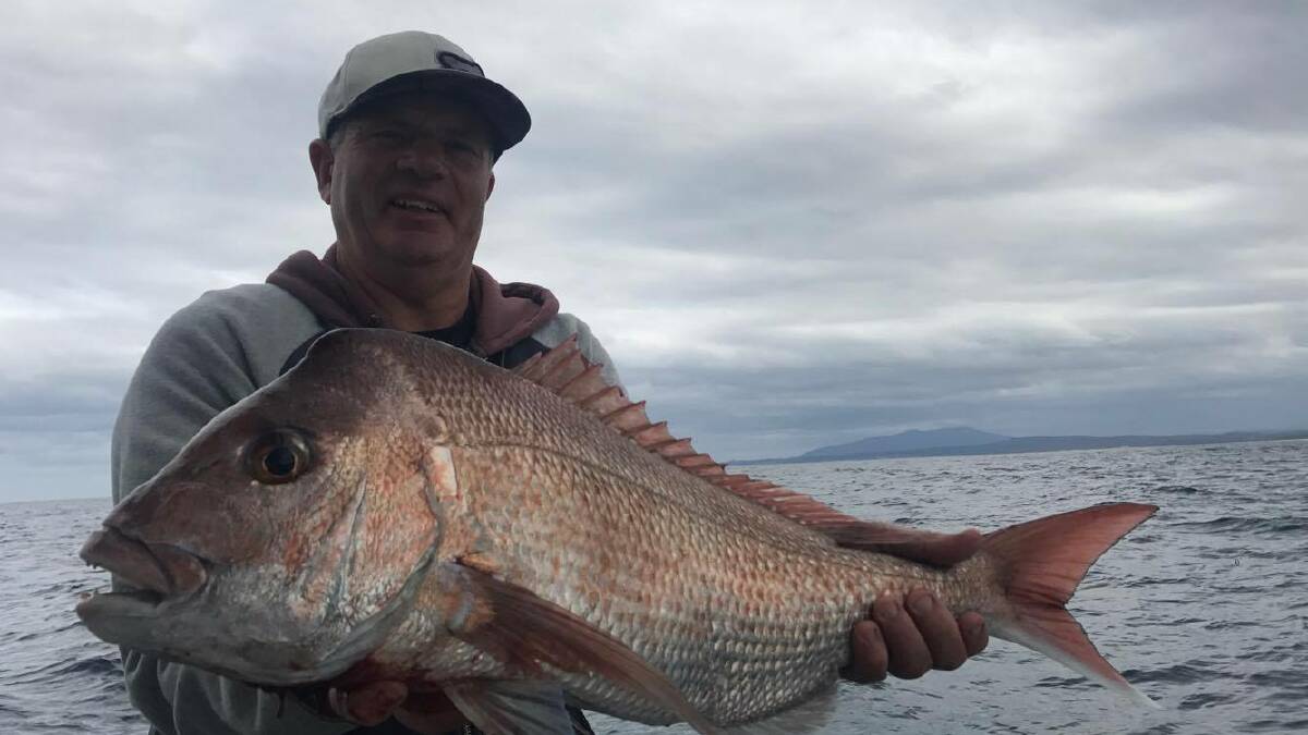 Fish caught off the Far South Coast