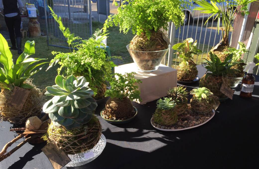 Market plants: The Dalmeny Market this weekend will not only have Kokedama Living Art plants but also the council's environment plant swap team.
