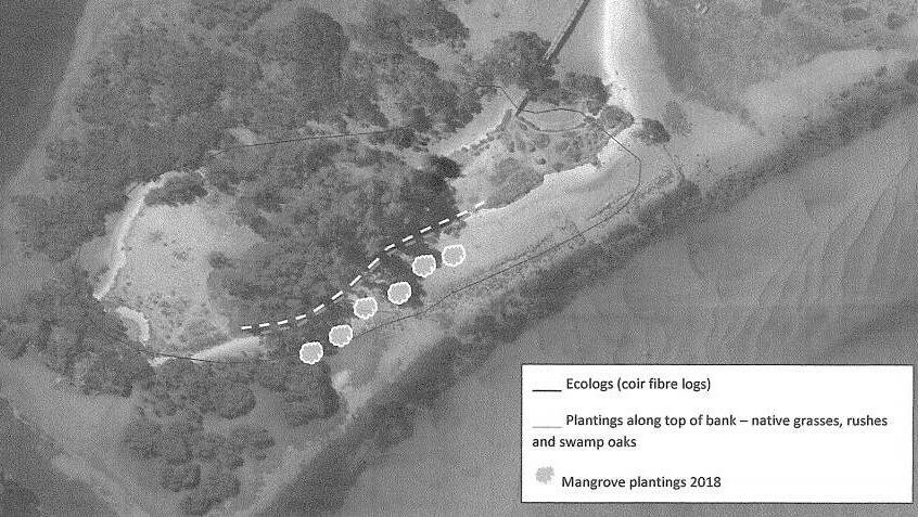 An image showing possible placement locations of coir-fibre “eco logs” and planting of native vegetation along the banks of Lewis Island at Narooma. 