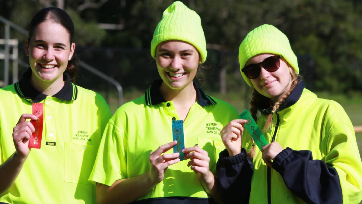 Photos of the NHS athletics carnival