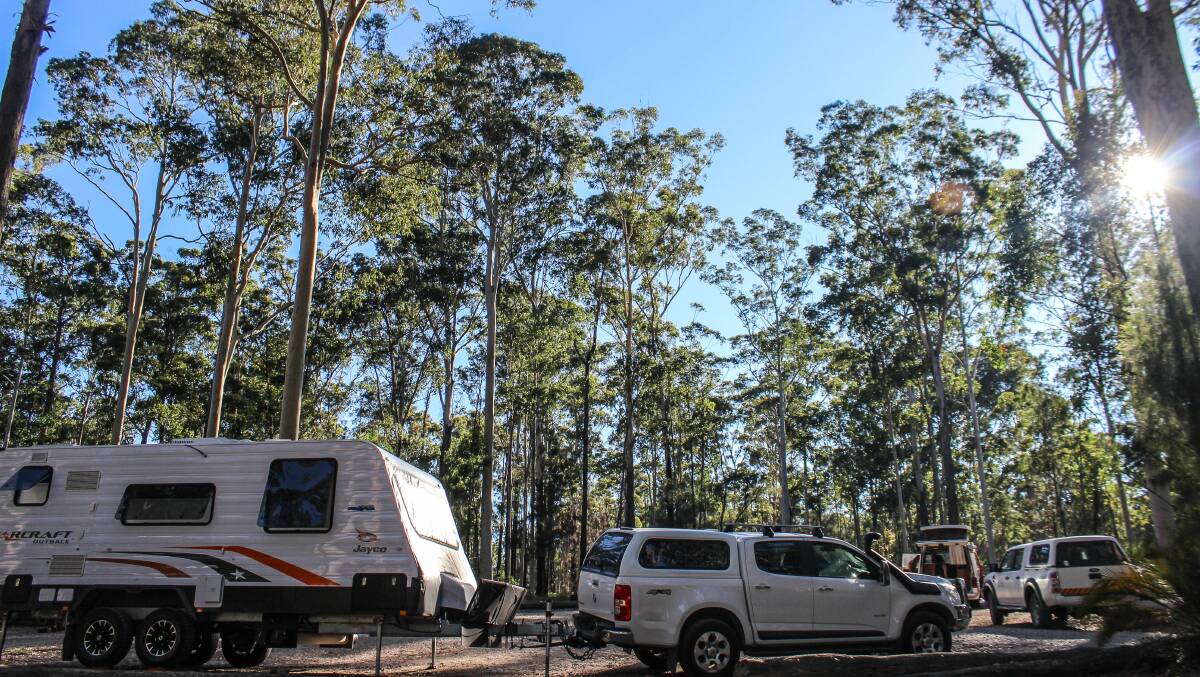Visitors to the South Coast can’t get enough of the recently revamped Bodalla Forest Rest Area. 