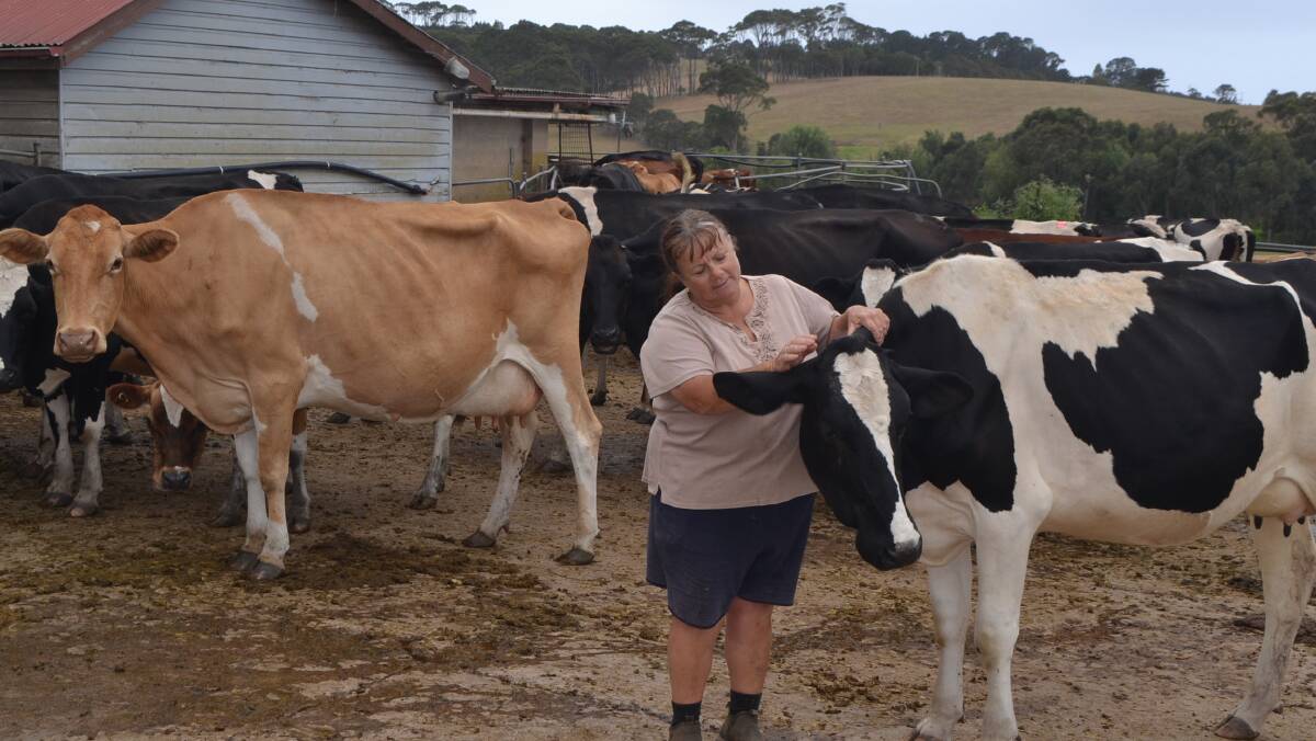 Photos of dairy farmer Robyn Lucas at the dairy 