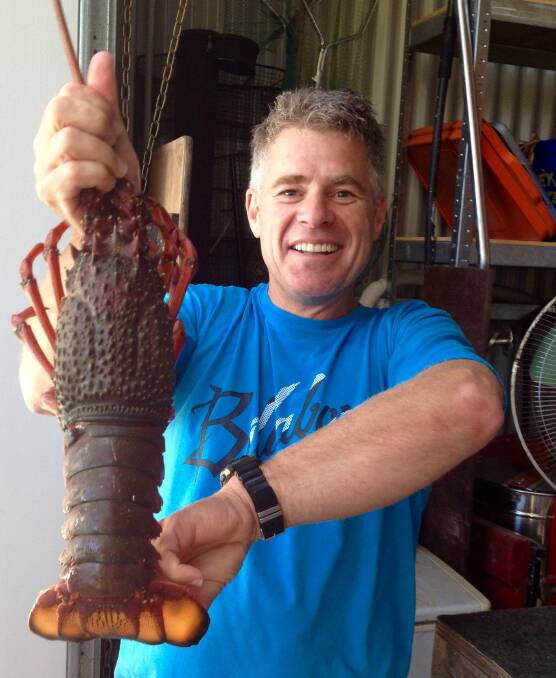 Steve Melville of Narooma with an absolute whopper of a lobster. It’s his personal best  (PB) and weighed in at 1.5kg !!! 