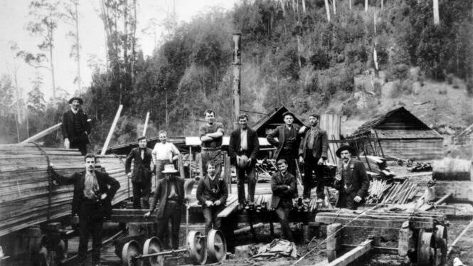 HISTORIC TIMBER: An historic timber photo from the SETA website. 