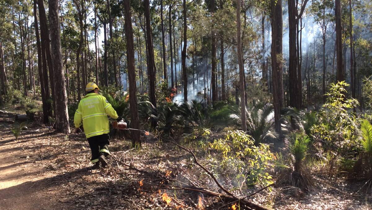 Hazard reduction in Bodalla State Forest near Narooma in 2015.  