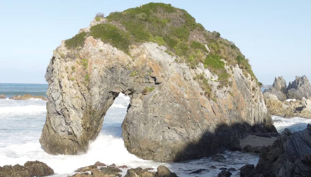 Horse Head Rock is "the talk of the town" according to Bermagui Beach Hotel publican Luke Redmond. Picture: Tom Corra, Let's be Adventurers Australia