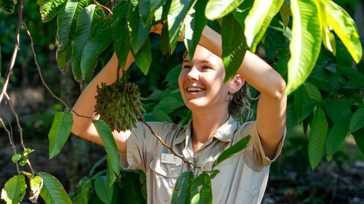 You can take a tour of Tropical Fruit World. Picture by Michael Turtle You can take a tour of Tropical Fruit World. Picture by Michael Turtle